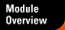 Module Overview