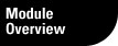Module Overview
